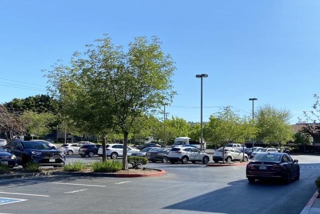 月極駐車場の草刈り