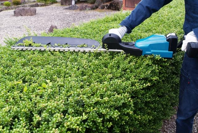 生垣の剪定作業