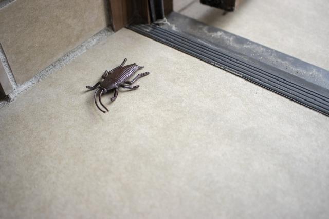 ゴキブリ駆除サービス