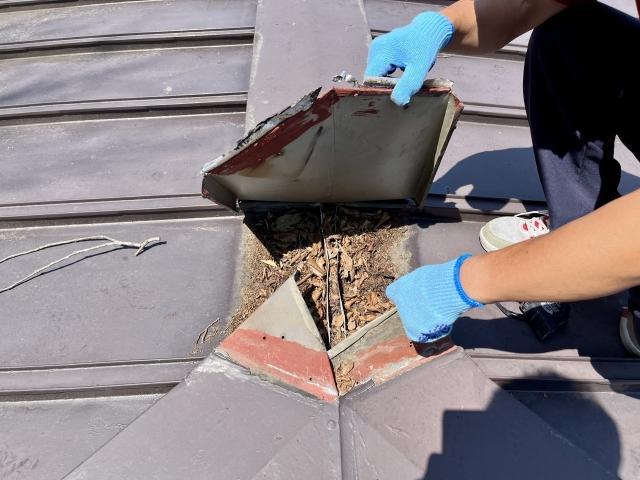 雨樋の交換工事