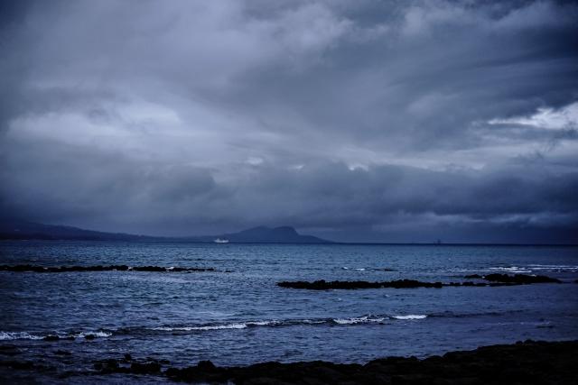 台風対策の剪定