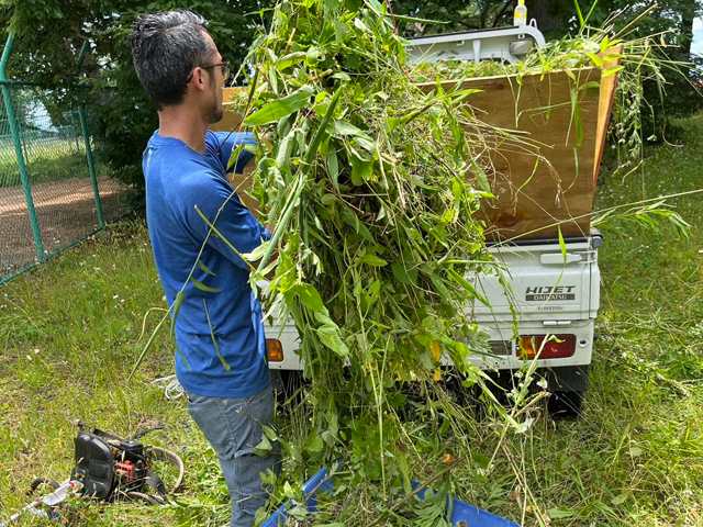 刈り取った雑草の回収作業