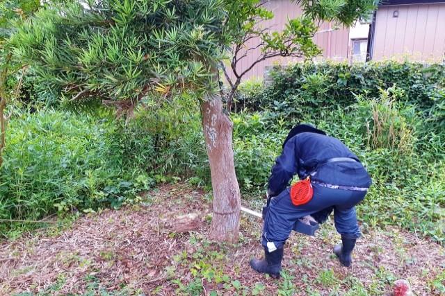 伐採から枝の処分まで一括対応