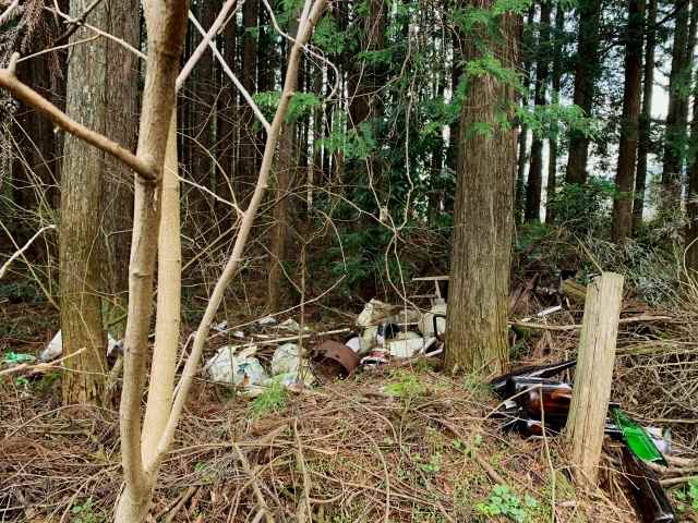 多賀城市での庭木全体の剪定作業