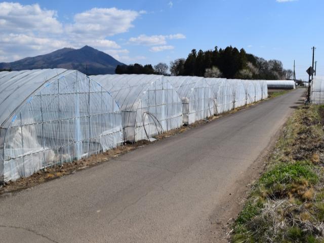 宮城県でのビニールハウスの解体・撤去