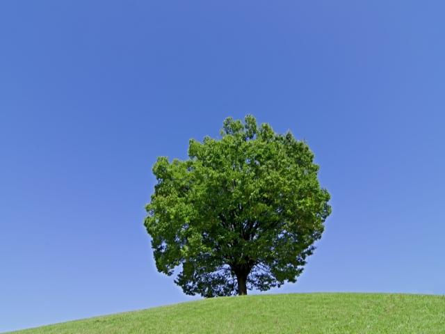 海外リユースによる社会貢献(SDGs)